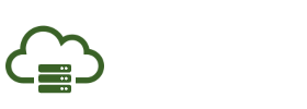 Skyserv logo